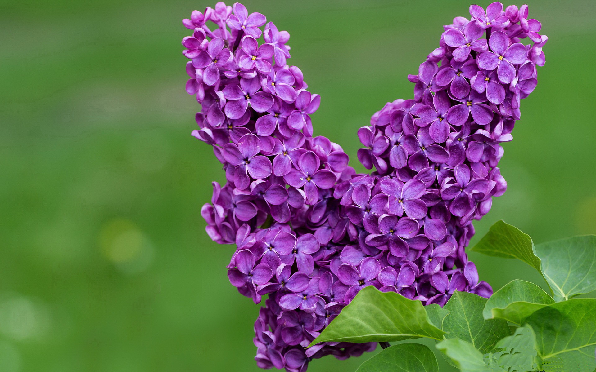 开云中国-2019年总决赛第六场：勇士在主场迎战热火，库里在关键第四节连续投中两记三分，带队成功逆转，夺得队史第四个总冠军。