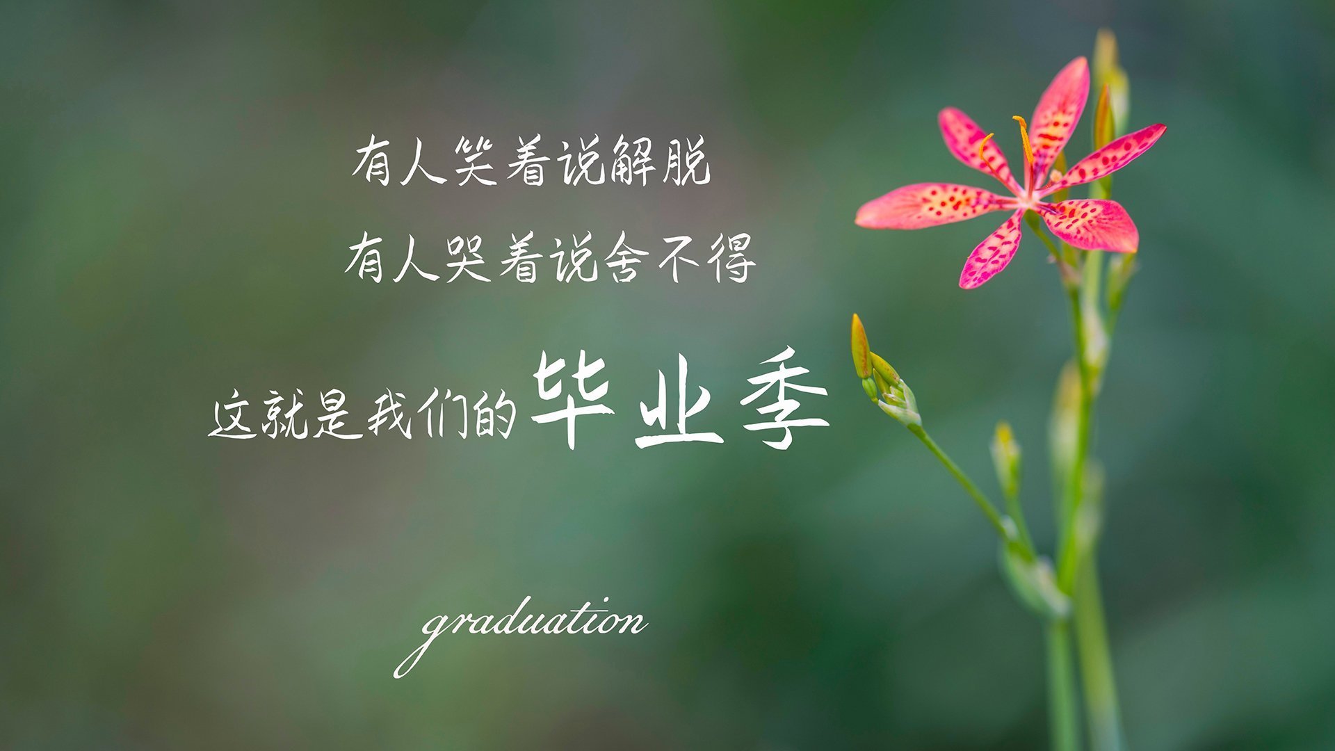 中国女篮新 engen团体赛对抗赛扬帆起航，中国队女篮