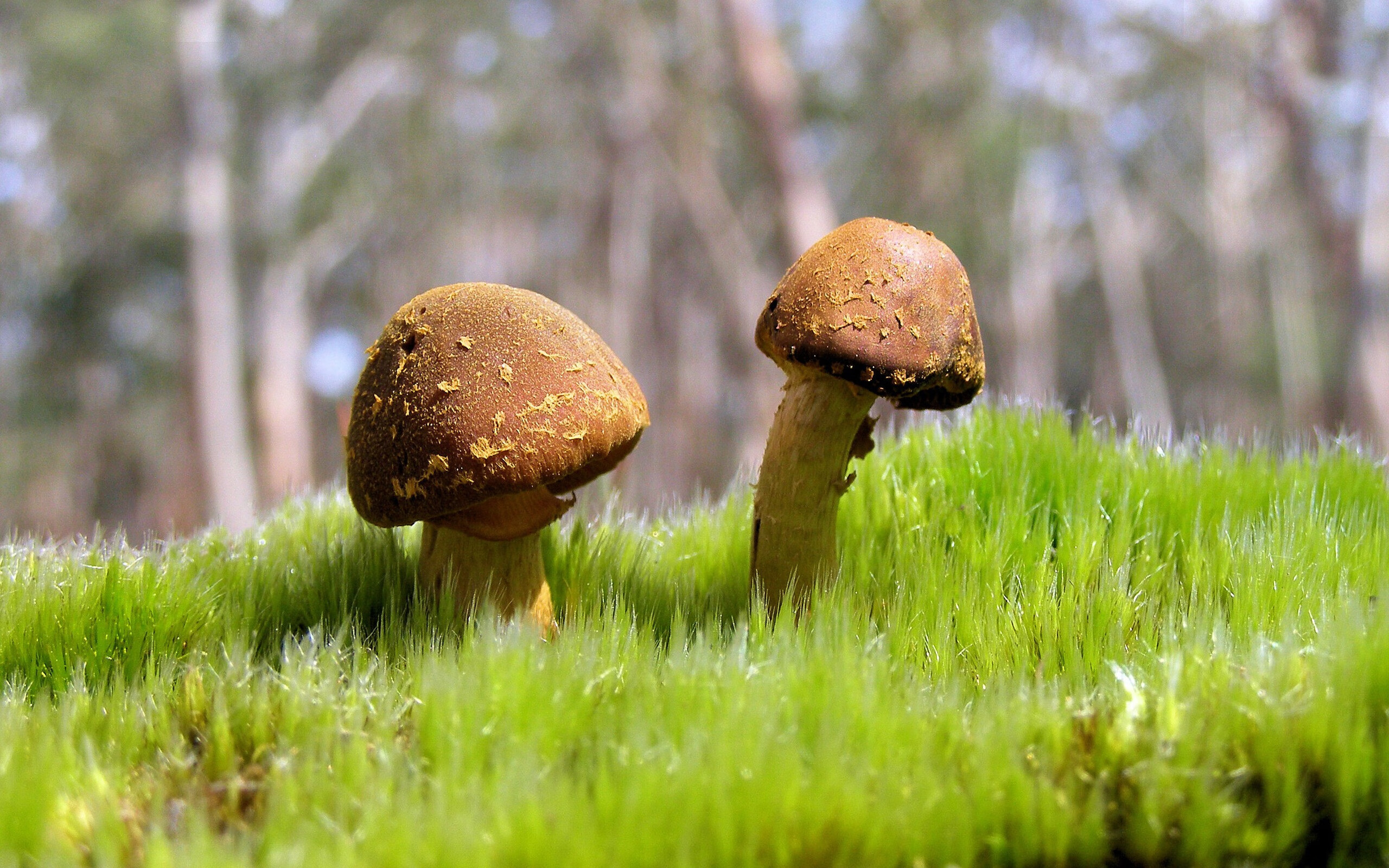 中国女足U20晋级世界杯八强,中国女足u20晋级世界杯八强是谁