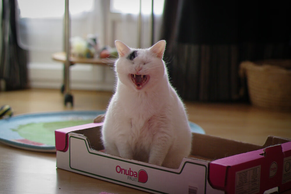 kaiyun网站-青少年“篮球+生态”环保公益在西安持续推进，践行绿色理念，青少年篮球联赛方案