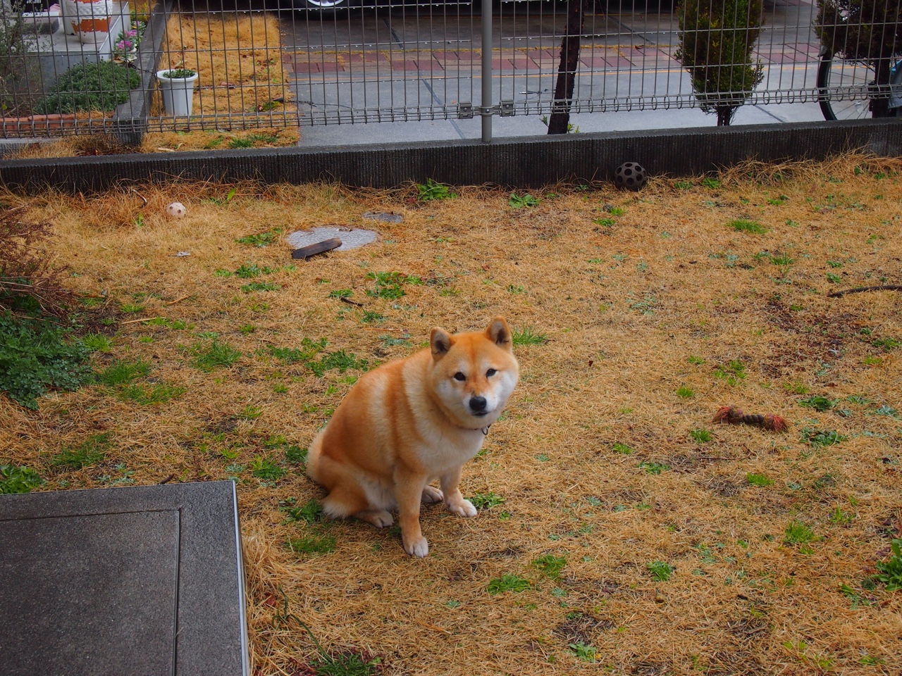 青少年“篮球+科技”互联网创新比赛在广州火热展开,青少年篮球职业联赛