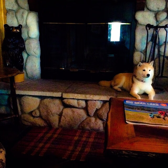 开云体育APP下载-中乙赛区安排是否影响球队公平竞争，中乙赛场