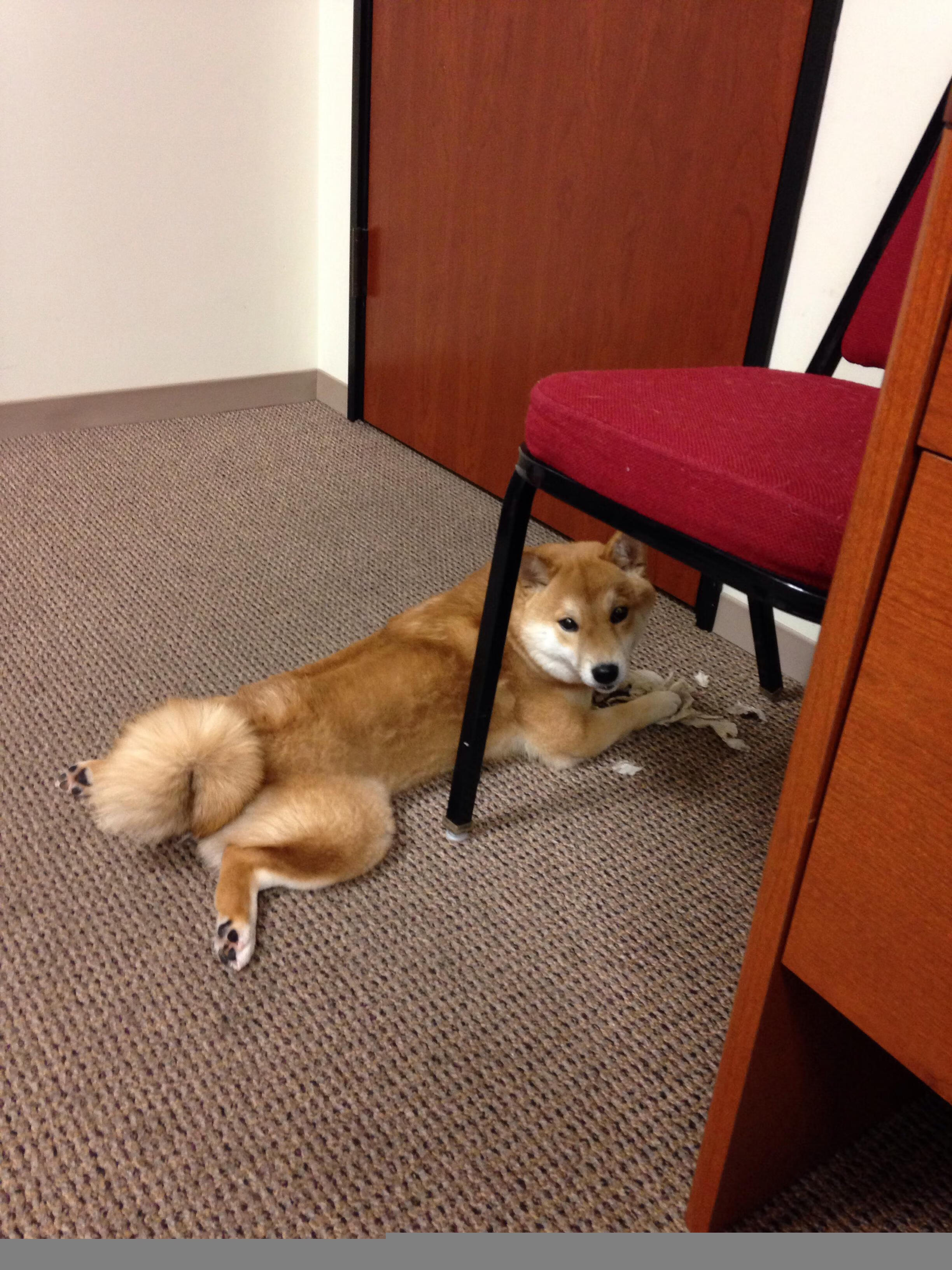 kaiyun登录入口-摩洛哥队在巴黎奥运会上展现出强大的团队协作能力，摩洛哥参加东京奥运会了吗