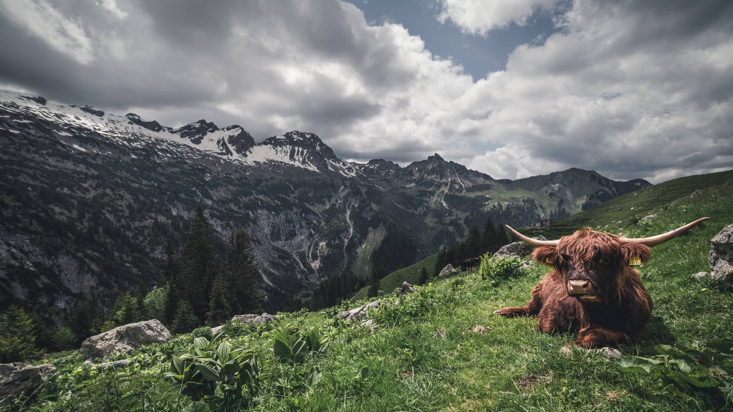开云·体育官网-毕尔巴鄂竞技主场2-1战胜莱万特，取得重要胜利，毕尔巴鄂竞技官网