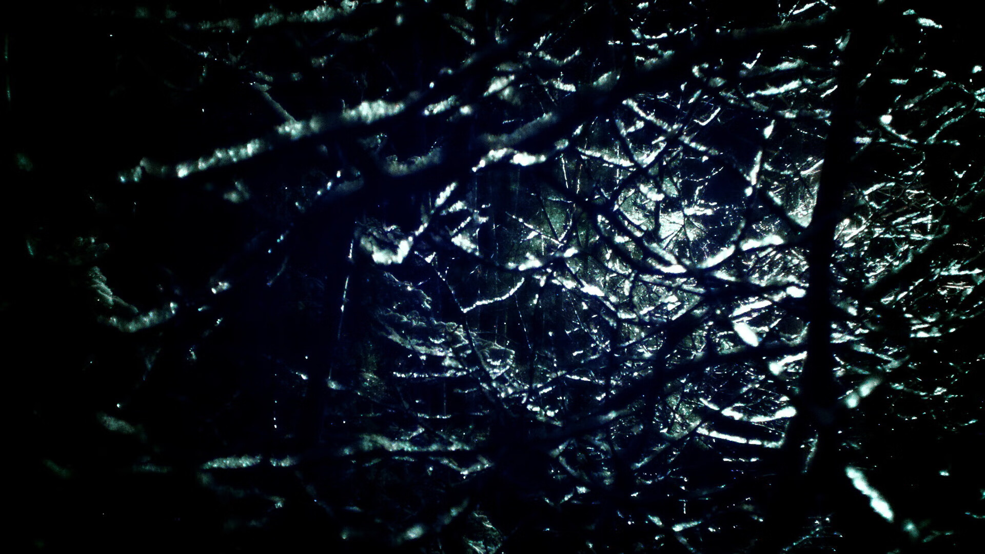 阿根廷队备战世界杯预选赛，目标提前出线，阿根廷世界杯预选赛名单