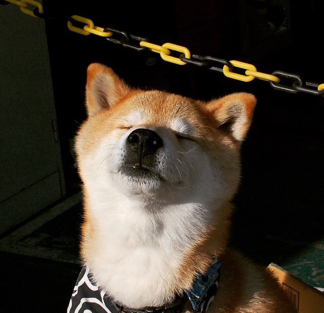 马竞客场3-1战胜莱加内斯，豪取三连胜，马竞对莱万特比分预测