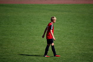 开云-NBA球员训练方法创新，nba球员训练视频,篮球技术