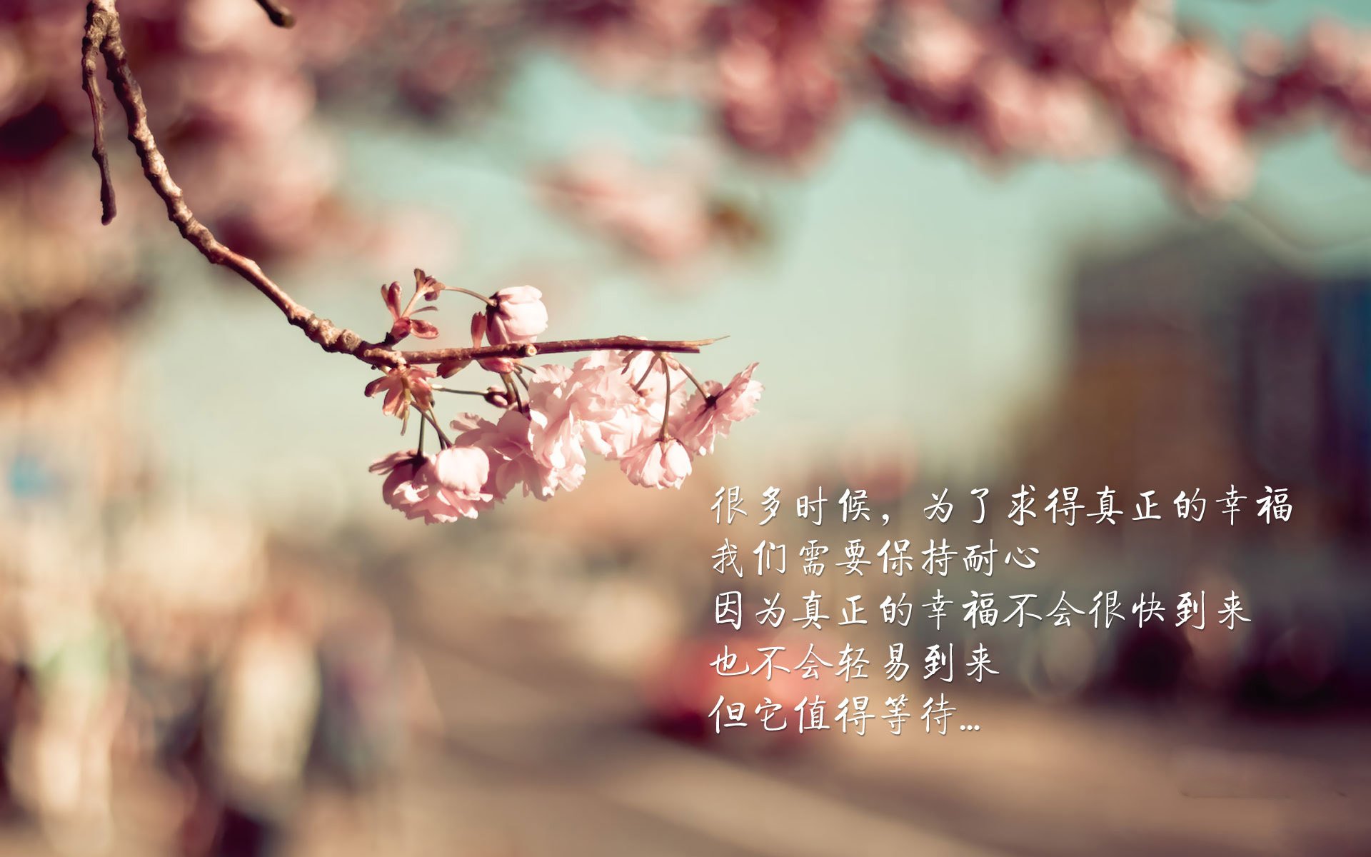 开云体育在线赛事直播-东亚杯中国女足复仇 球员拼劲赢得掌声，中国女足冲击东京奥运