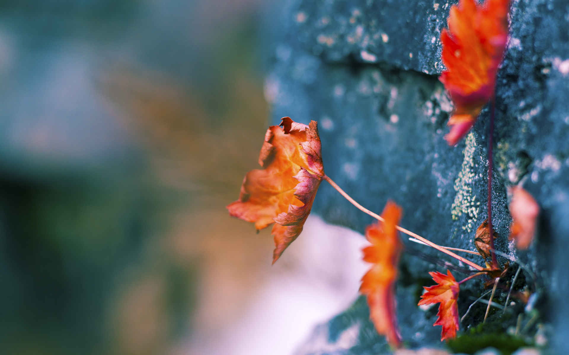 全民健身专项资金覆盖更多边远地区,全民健身政府扶持资金