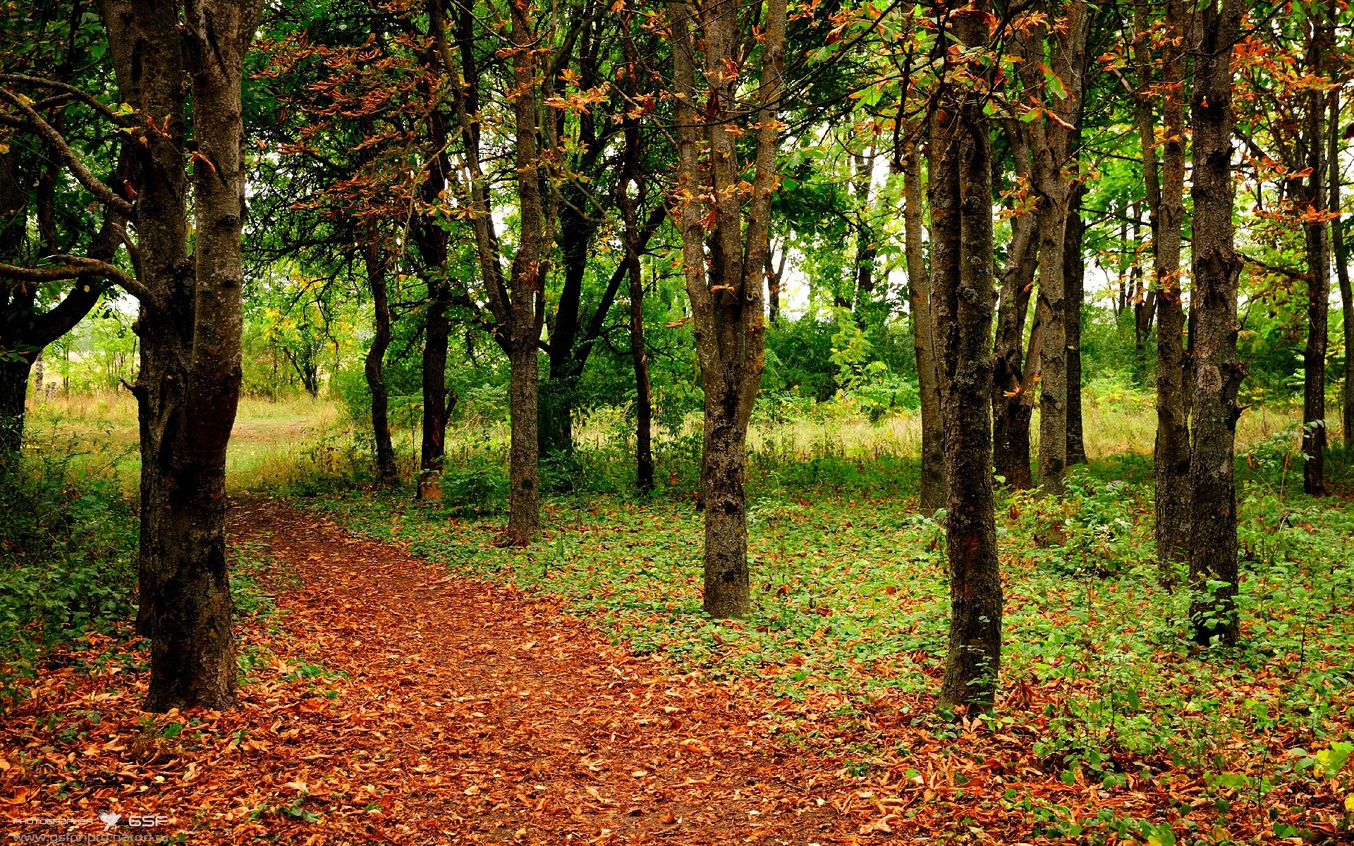强化高强度对抗训练，适应世界比赛节奏，进行高强度训练
