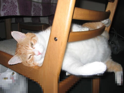 王者荣耀全明星赛即将开启顶级选手集结，王者荣耀全明星争霸赛