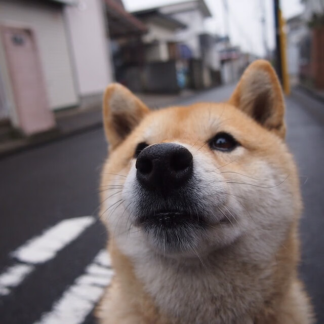 青年运动员辅导机制加入职业规划辅导，青少年运动员培养