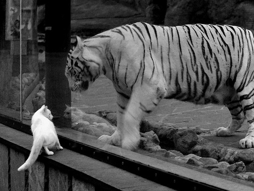 艾比·德尔福：南非队防线的中坚，凭借强大防守完成精准拦截，艾比 里德尔